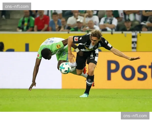 官方：因天气原因，门兴对阵沃尔夫斯堡的比赛延期举行